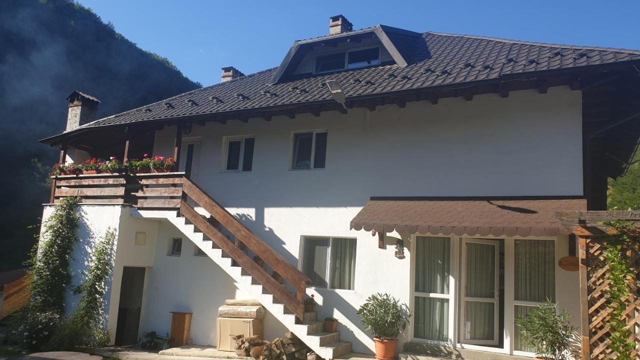 Pensiunea Ardeleanu' Slamnesti Exterior foto